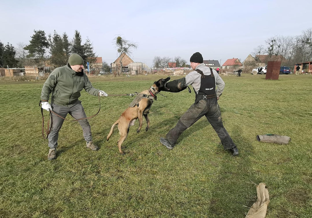 Dingo Gear Schutzarm Extern Soft aus Nylcot Blau Bissmanschette Hundeausbildung Hundetraining Bisstr