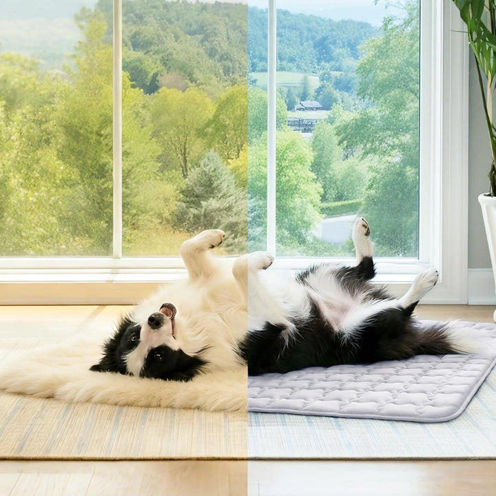 luciphia Kühlmatte Hund für Katze Hunde, Hundematte Sommer Kühlkissen Waschbares Hundebett, Kühldeck