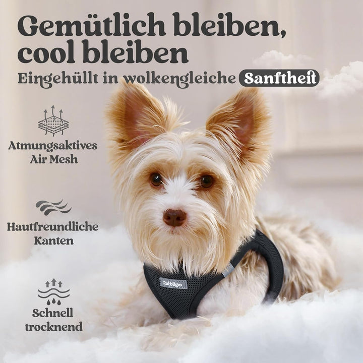 rabbitgoo Hundegeschirr Kleine Hunde, Step-in Welpengeschirr Weich Mesh für Spaziergänge, Atmungsakt