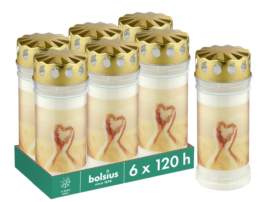 Bolsius Grablicht - Weiss - Set 6 Stück - Länge Brenndauer 120 stunden- Trauerkerze & Gedenkstätte K