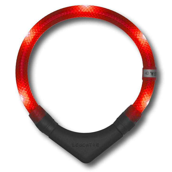LEUCHTIE® Leuchthalsband Plus rot Grösse 42,5 I LED Halsband für Hunde I 100 h Leuchtdauer I wasserd