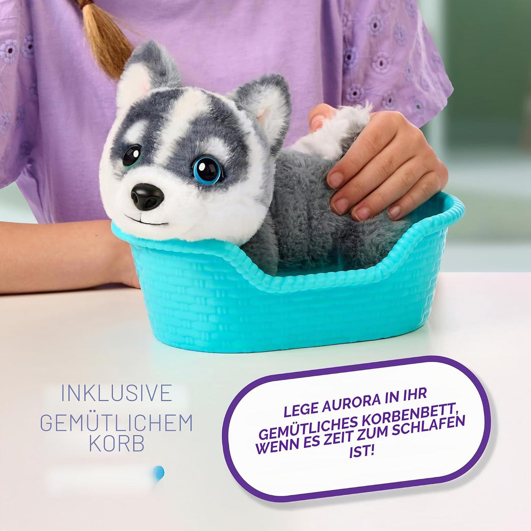 Little Live Pets My Really Real Puppy Minis – Aurora der Husky, interaktiver Puppy mit 20+ Geräusche