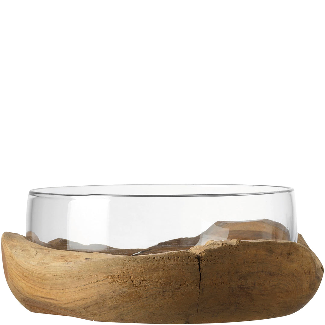 LEONARDO HOME Schale, Transparent Single, Single