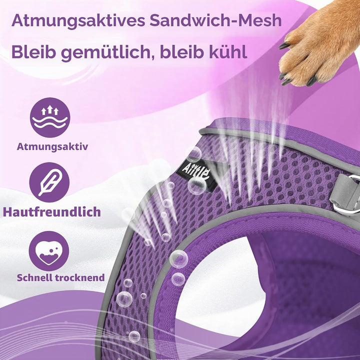 AIITLE Bequemes Hundegeschirr und Leine Set zum Gassi gehen - Step in Vest Harness, Reflektierende B
