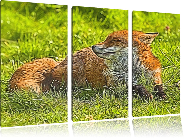 Süsser Fuchs auf Wiese 3 Teilig, Gesamtgrösse 120x80 cm auf Leinwand, XXL riesige Bilder fertig gera