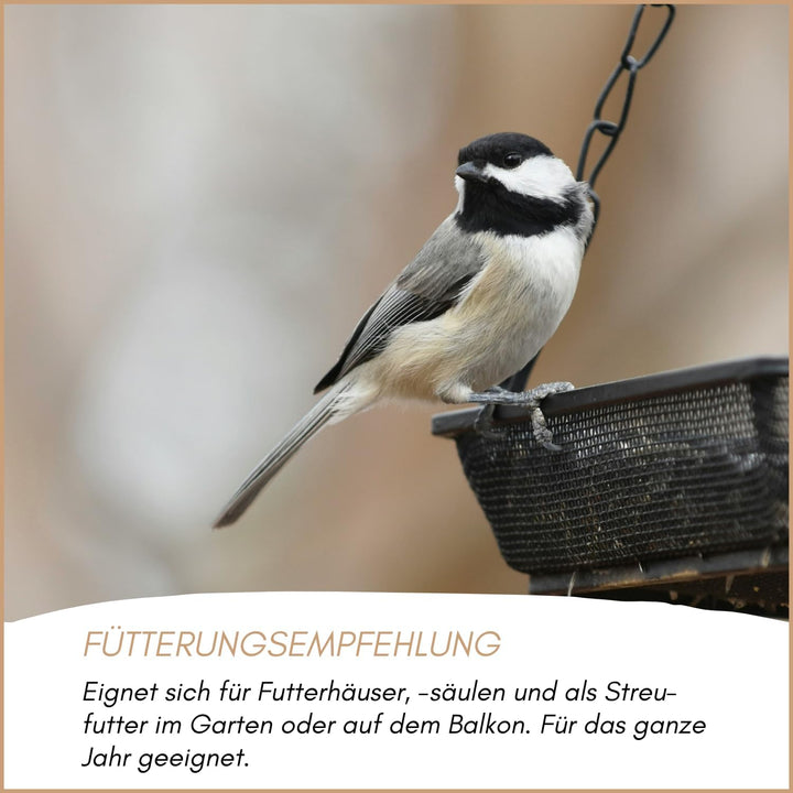 SUPRAVIT Hanf 25kg - Hanfsamen Vogelfutter & Wildvogelfutter - energiereiche Ergänzung zum Körnerfut