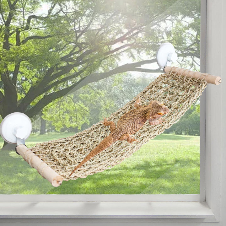 FlidRunest 54,9 x 19,8 cm Seegras Bartdrache Hängematte für Fenster, grosse Eidechse Fensterstange,