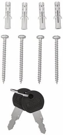 BURG-WÄCHTER Briefkasten ohne Zeitungsfach und Namensschild, Kunststoff, Einwurf-Format DIN C4, 2 Sc