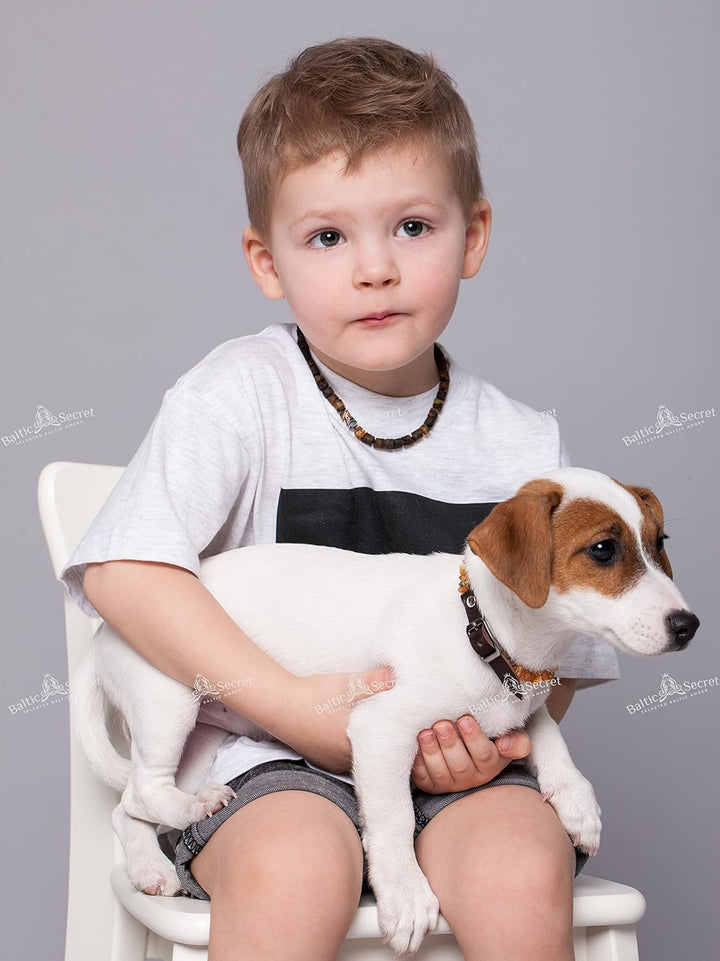 Bernsteinkette Hund, Bernsteinhalsband Hunde mit Lederband, Zeckenschutz Hunde, Flöhe Hund, Zeckensc
