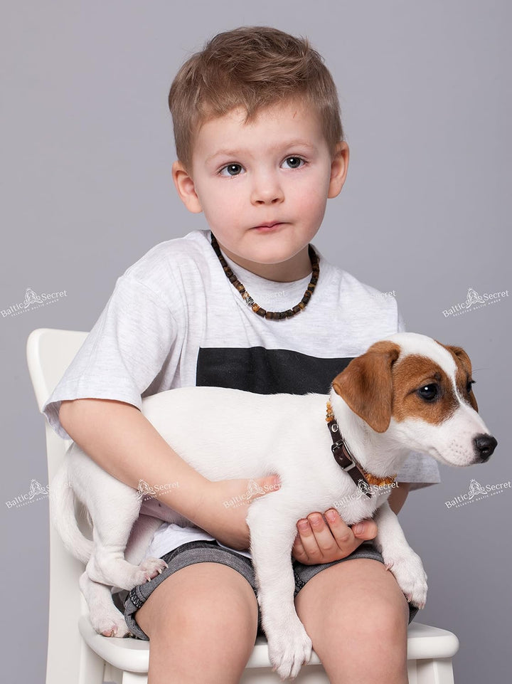 Bernsteinkette Hund | Bernsteinhalsband für Hunde &amp; Katzen | Hundehalsband I Natürliches Halsband Hu