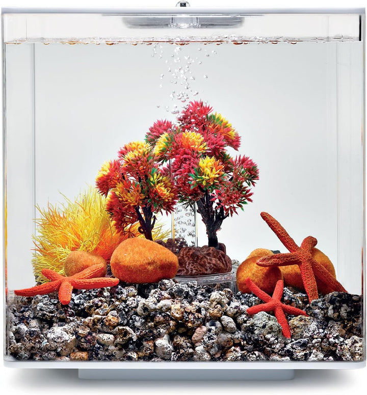 biOrb 55024 Decor Set 15L Herbst - herbstliches, farbenfrohes Aquarien-Dekor / geeignet für 15 l biO