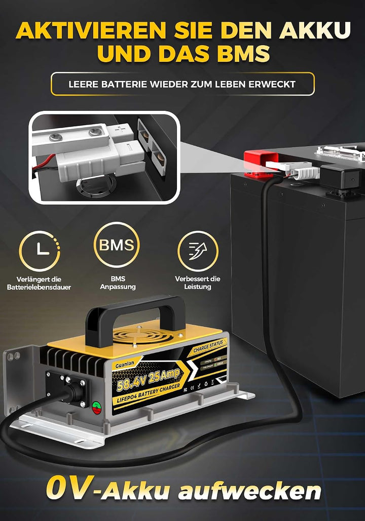58,4V 25A LiFePO4 Lithium Batterie Ladegerät für 48V(51,2V) LiFePO4 Lithium Batterien, IP67 Wasserdi