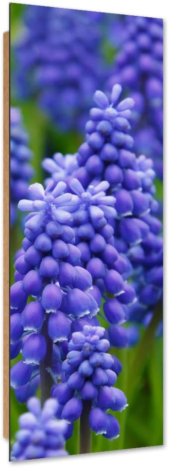 Feeby Wanddeko Blumen Kunst modern Bilder abstrakt Violett 40x120 cm Deko Paneel 40x120 cm Violett_d