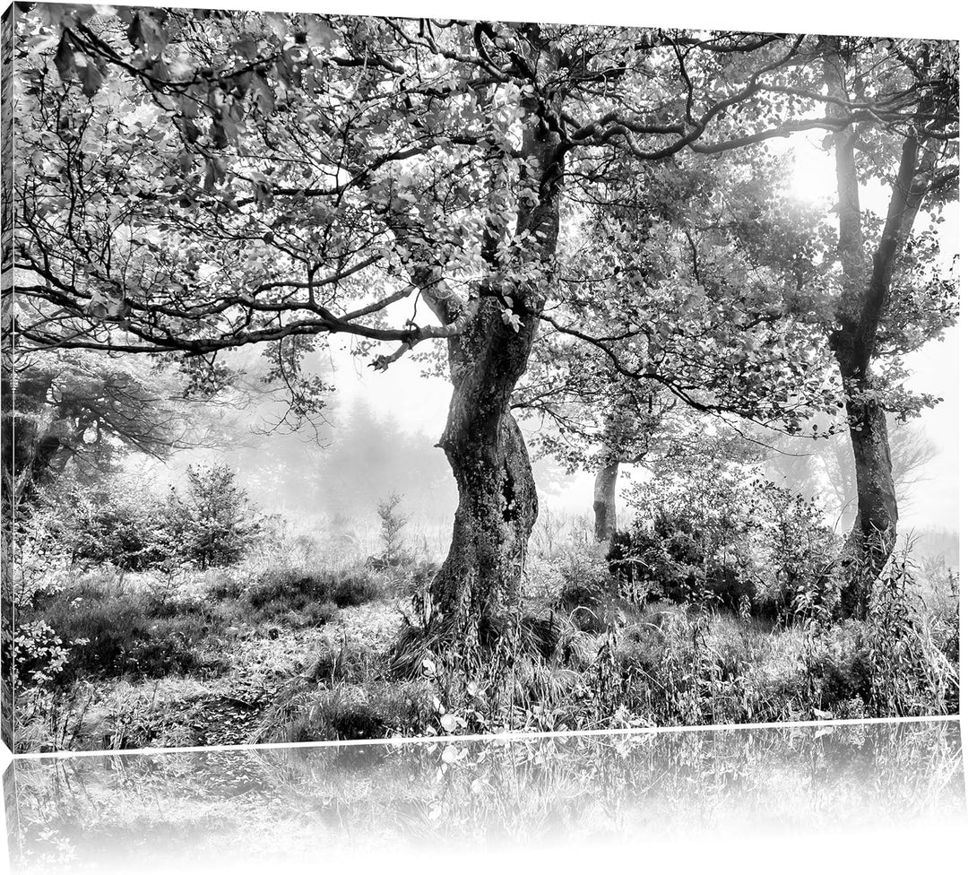 Pixxprint Traumhafte Herbstlandschaft als Leinwandbild/Grösse: 100x70 / Wandbild/Kunstdruck/fertig b