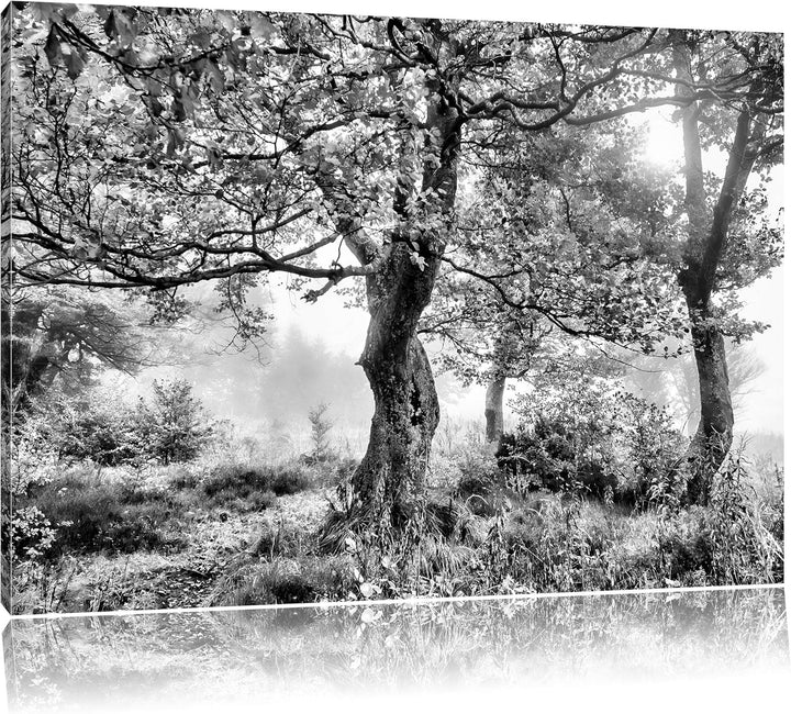 Pixxprint Traumhafte Herbstlandschaft als Leinwandbild/Grösse: 100x70 / Wandbild/Kunstdruck/fertig b