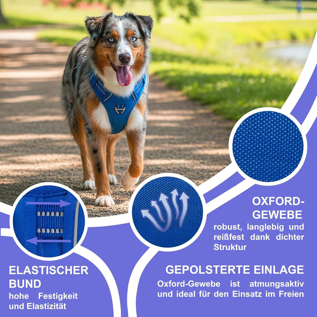 Reichstadt Pets Hundegeschirr Kleine Hunde 25RSP083 Blue S | Verstellbares No-Pull Geschirr mit Grif