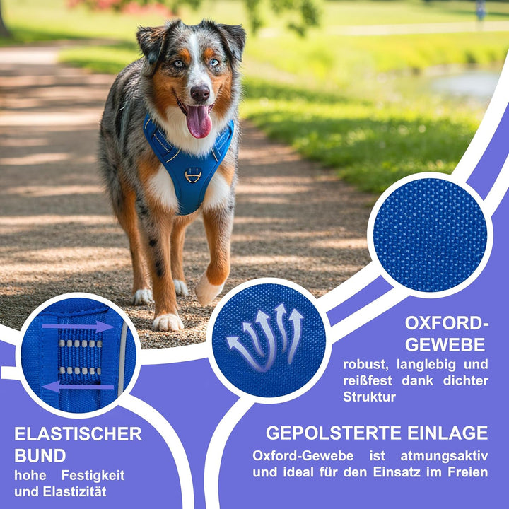 Reichstadt Pets Hundegeschirr Kleine Hunde 25RSP083 Blue S | Verstellbares No-Pull Geschirr mit Grif