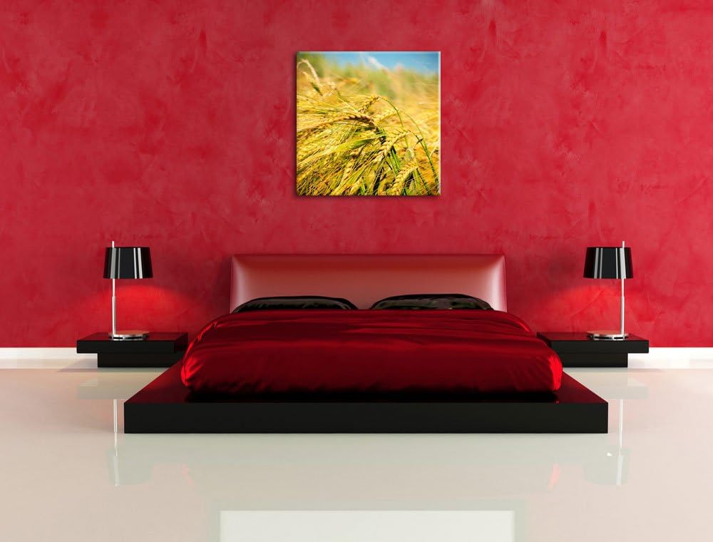 Goldene Getreide Ären, Format: 70x70 auf Leinwand, XXL riesige Bilder fertig gerahmt mit Keilrahmen,