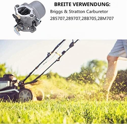 Motor Vergaser passend für Briggs & Stratton 285707, 289707, 28B705, 28M707