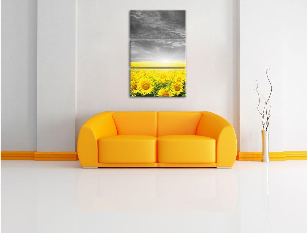 Pixxprint Sonnenblumenfeld bei Sonnenuntergang schwarz/weiss 3-Teiler Leinwandbild 120x80 Bild auf L