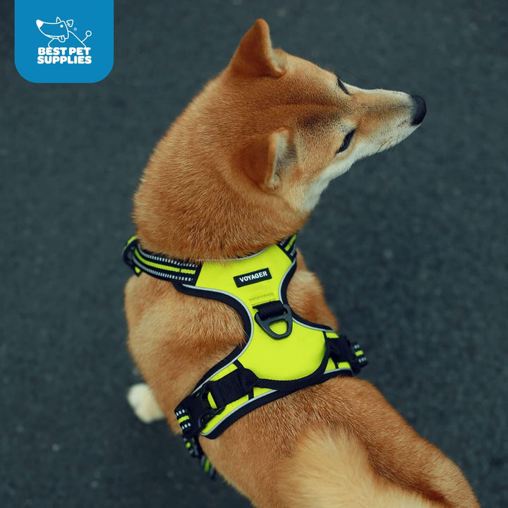 Voyager Von Best Pet Supplies – verstellbares Hundegeschirr mit 3M reflektierender Technologie, kein