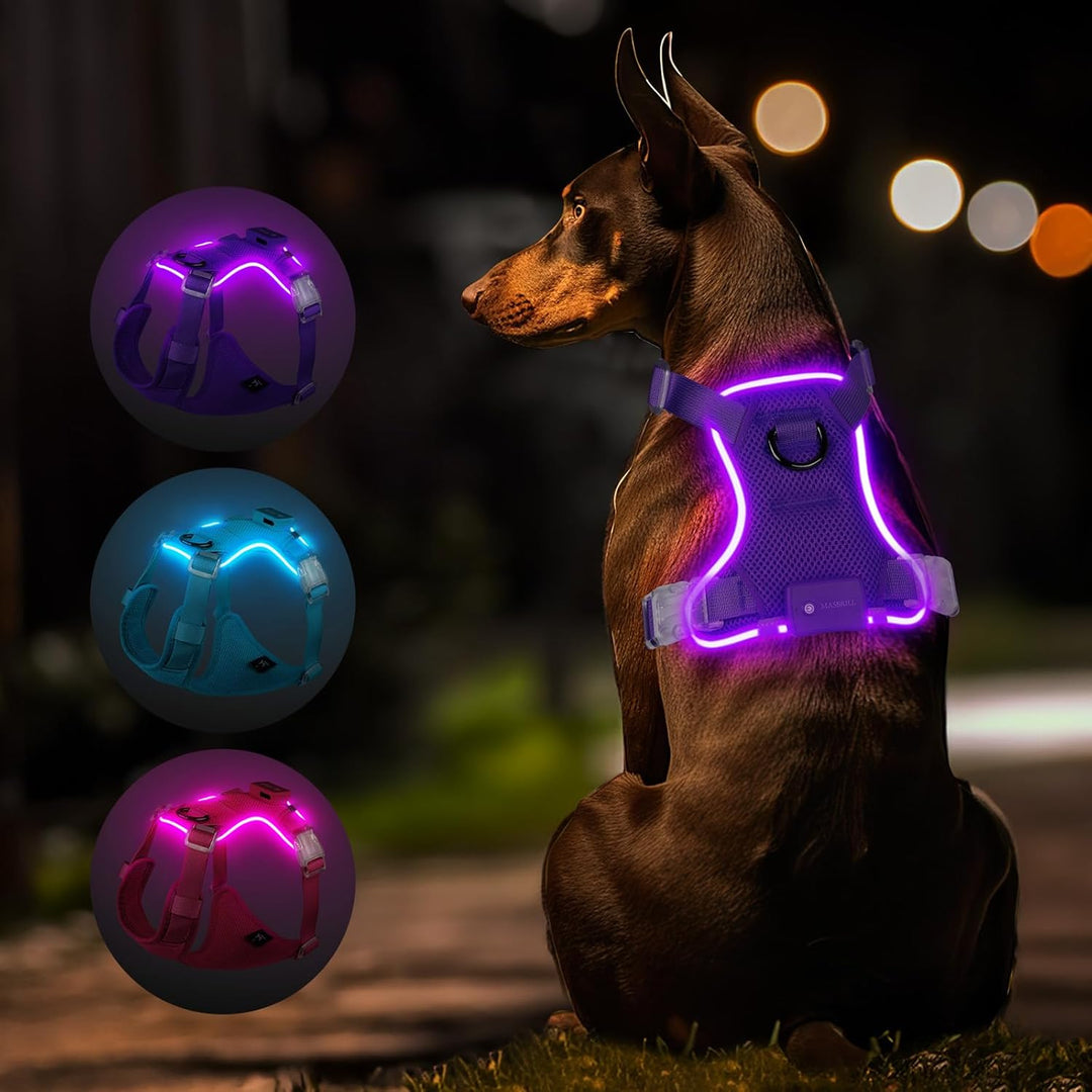 MASBRILL Hundegeschirr Leuchtend, LED Hundegeschirr Aufladbar & Einstellbar für Welpen Kleiner Mittl