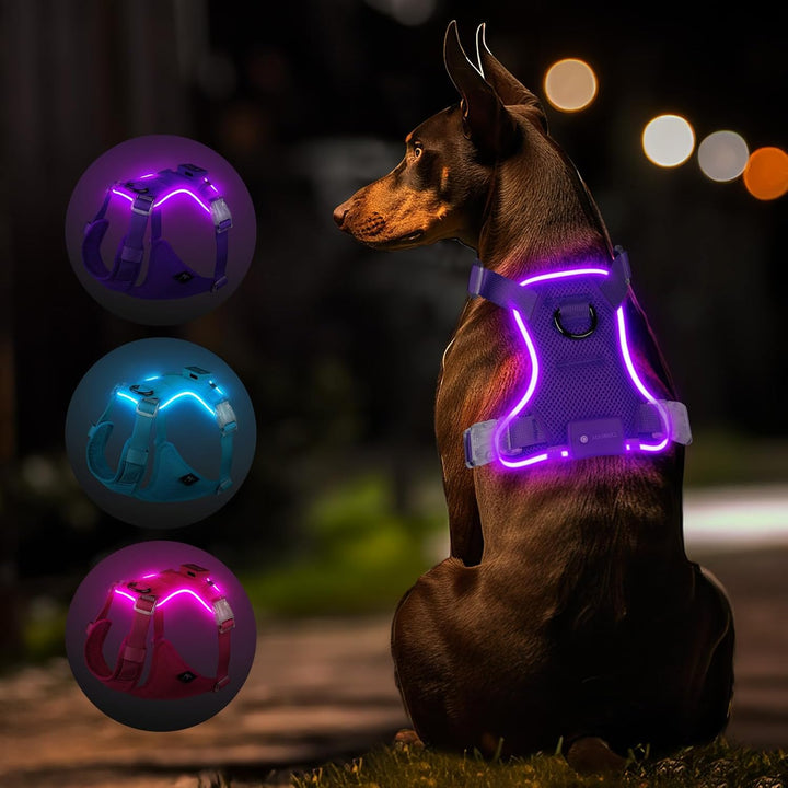 MASBRILL Hundegeschirr Leuchtend, LED Hundegeschirr Aufladbar & Einstellbar für Welpen Kleiner Mittl