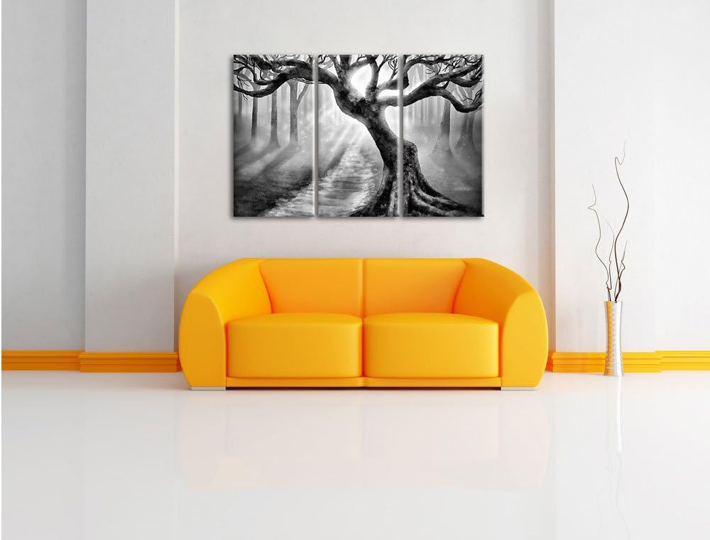 Pixxprint Baum am Waldweg als Leinwandbild/Grösse: 3 Teilig (120x80) cm/Wandbild/Kunstdruck/fertig b