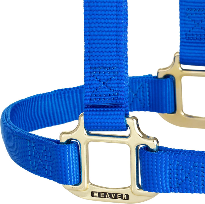 Weaver Leather, nicht verstellbares Halfter Blau Large Horse, Blau Large Horse