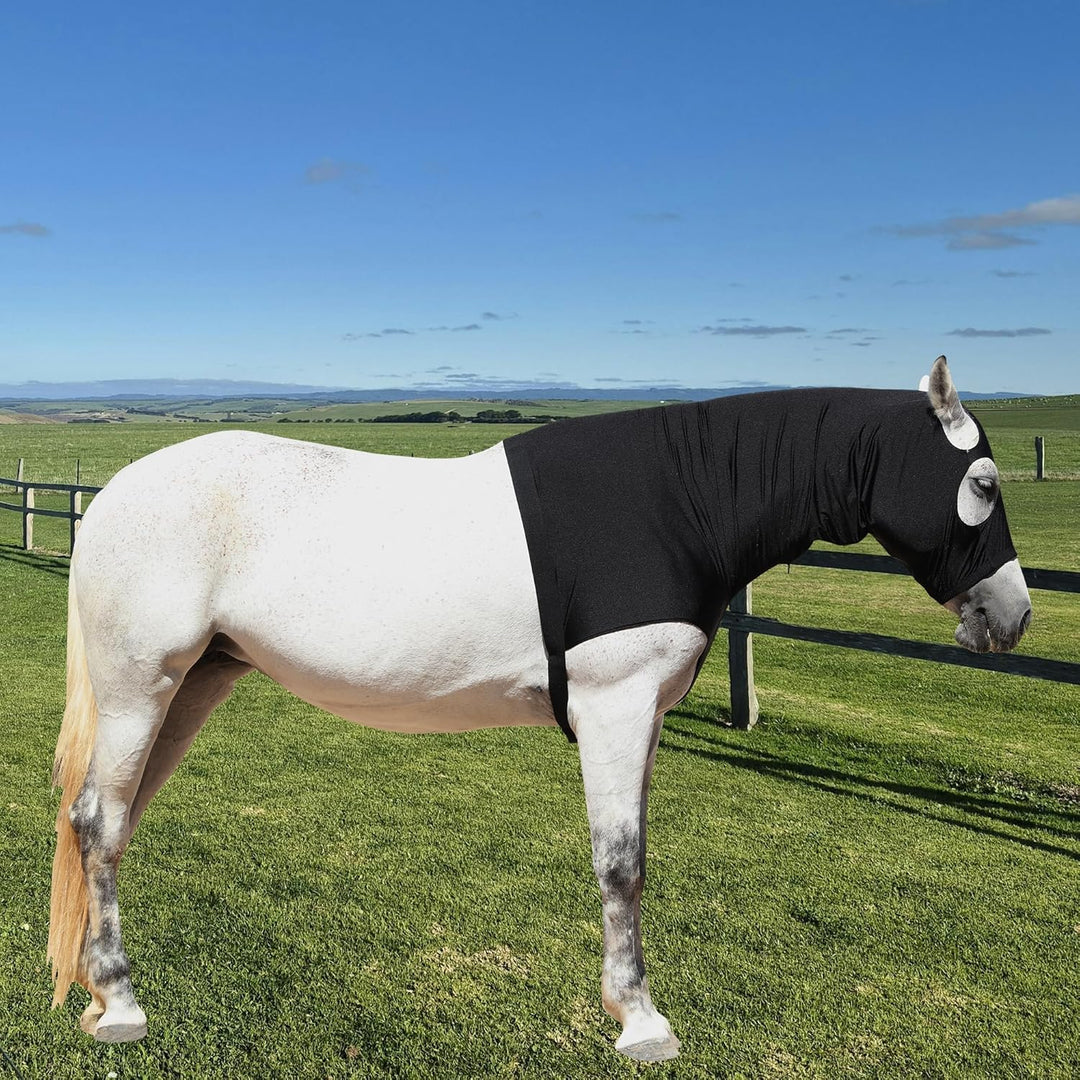 Leberna Lycra Stretch-Pferd Kapuze mit Reissverschluss - vollen Gesicht-Hals-Abdeckung XL Schwarz, X