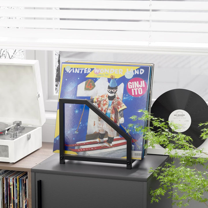 MayRecords Schallplattenhalter für Schallplatten, Metall, für LP