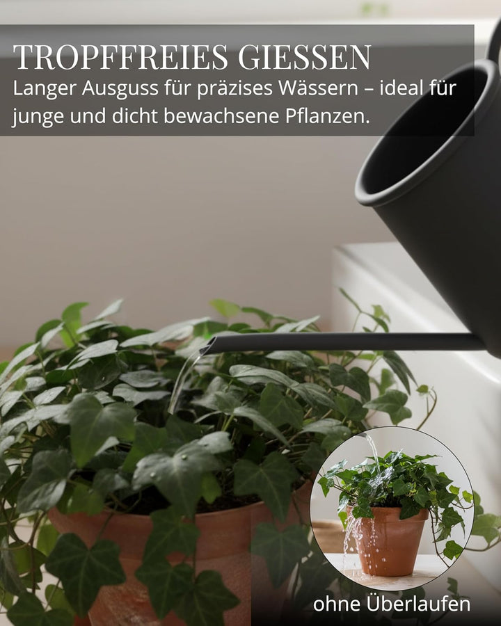 Livlig53 Giesskanne 1L, Giesskanne Zimmerpflanzen, Blumengiesskanne mit extra langem Ausguss, Giessk