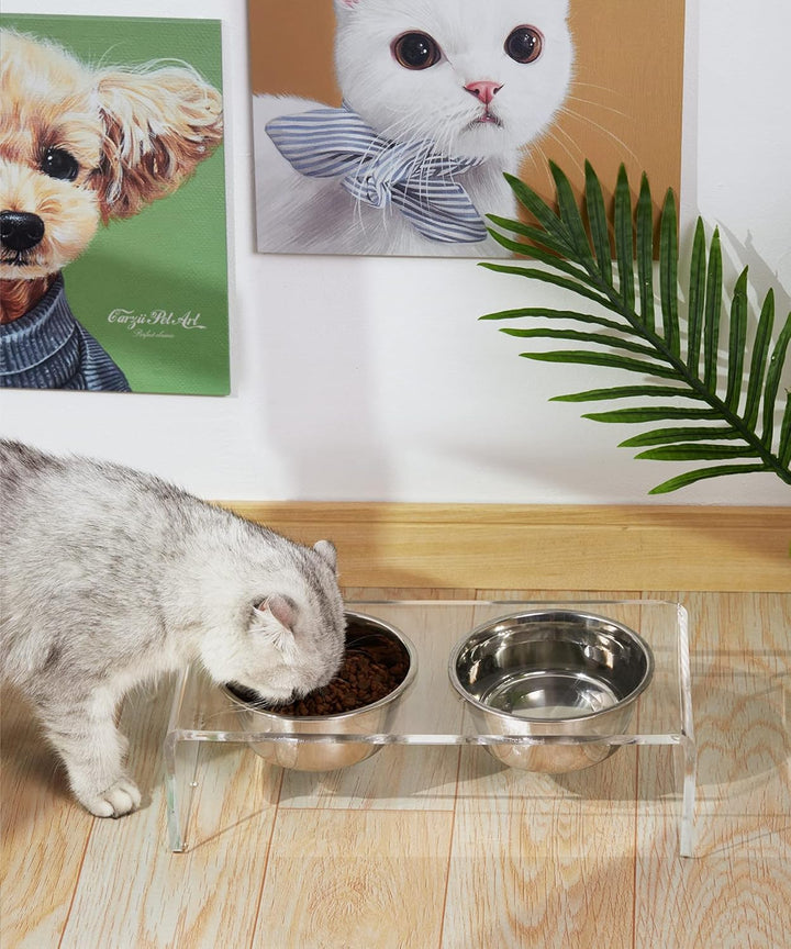 Erhöhter Futternapf für Hunde und Katzen, aus Acryl, mit 4 abnehmbaren Edelstahlnäpfen Ideal für Kat