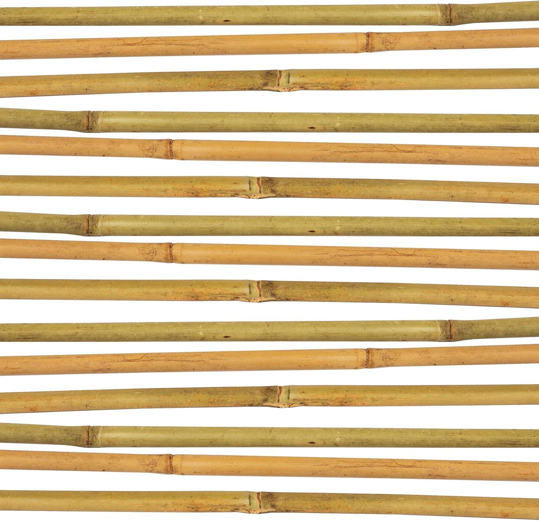 BigDean 50x Pflanzstab Bambusstab 105 cm x 8-10 mm Bambus Rankhilfe Pflanzstab Tonkinstab 100% Natur