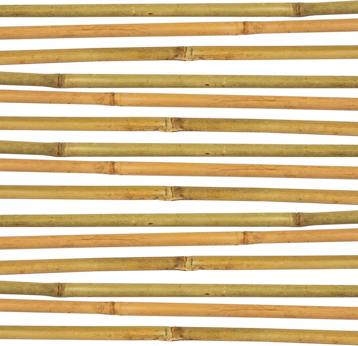 BigDean 50x Pflanzstab Bambusstab 105 cm x 8-10 mm Bambus Rankhilfe Pflanzstab Tonkinstab 100% Natur