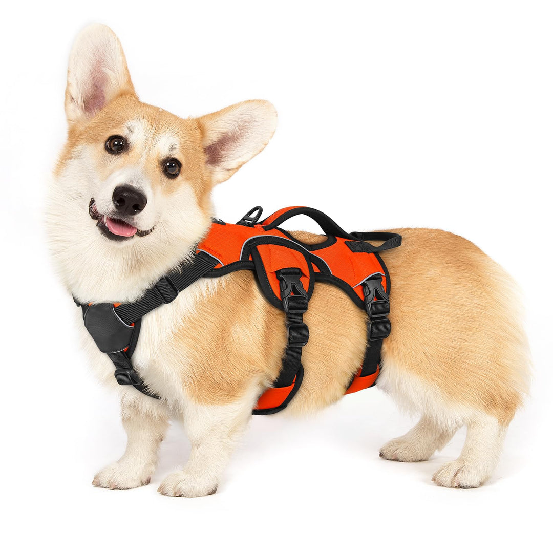 rabbitgoo Ausbruchsichere Hundegeschirr Kleine Hunde mit Griff, Anti Zug Sicherheitsgeschirr Hund At