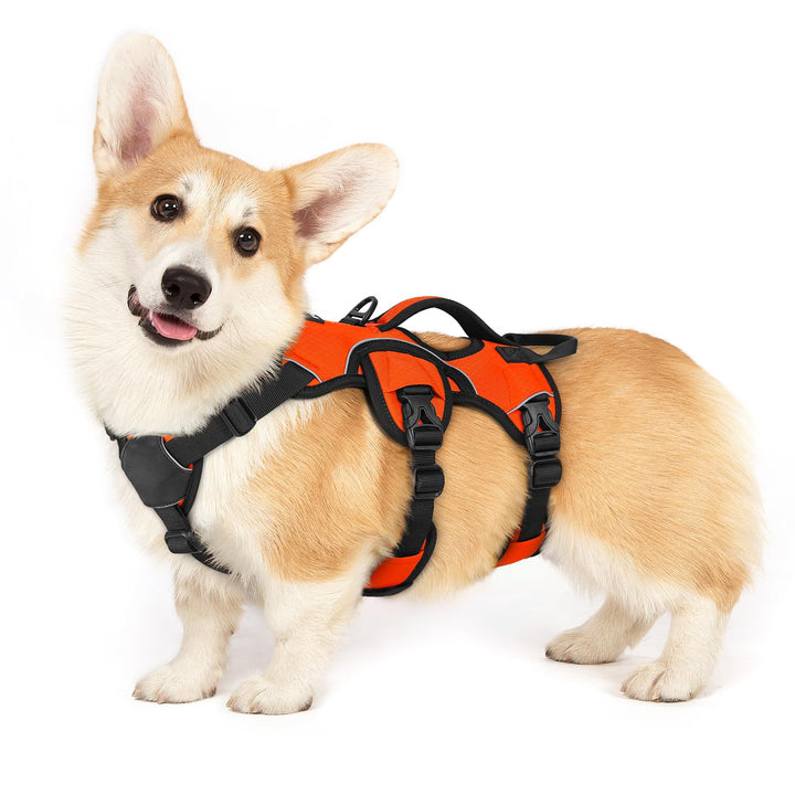 rabbitgoo Ausbruchsichere Hundegeschirr Kleine Hunde mit Griff, Anti Zug Sicherheitsgeschirr Hund At