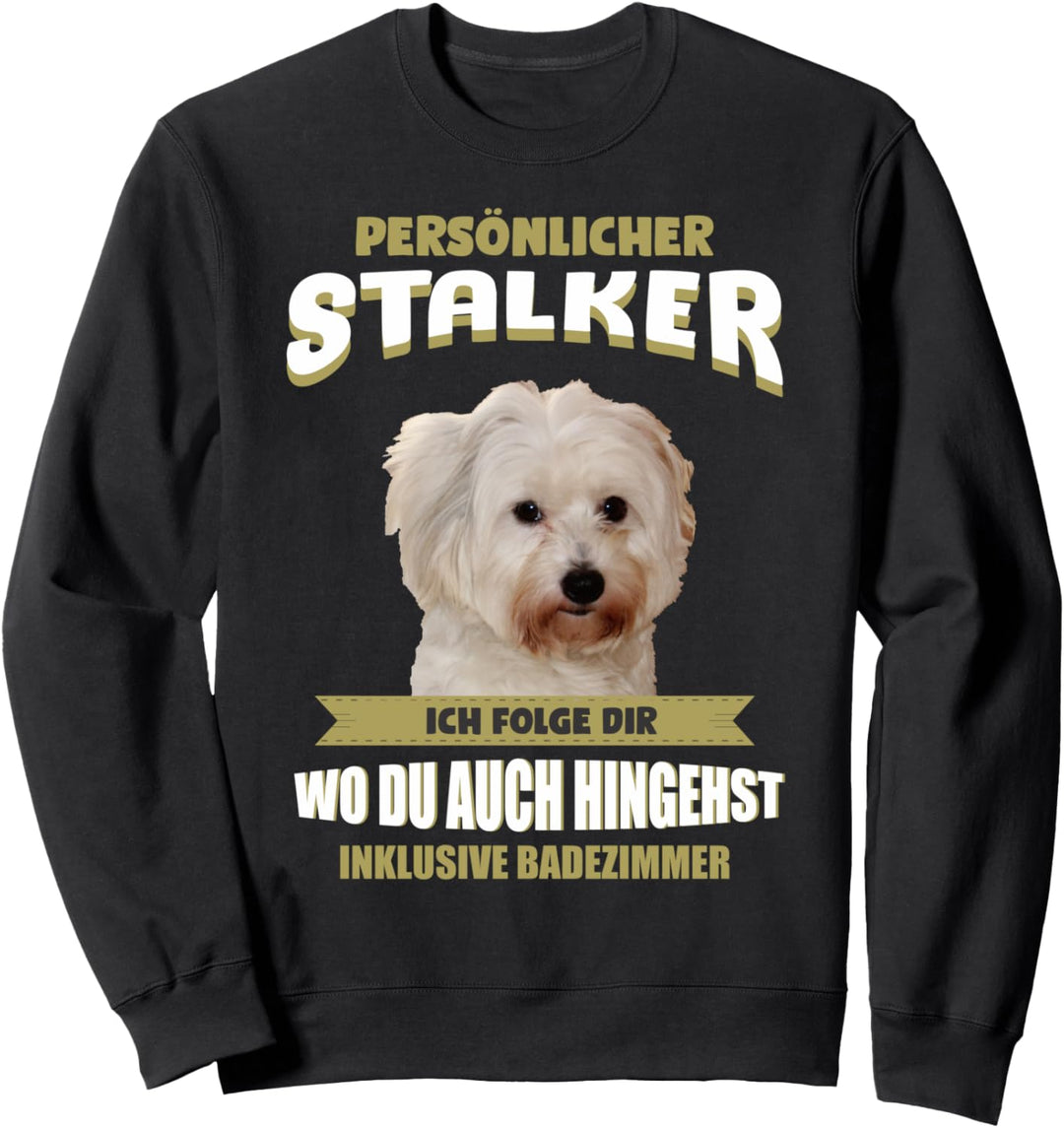 Coton de Tulear Hund - Coton de Tulear Sweatshirt