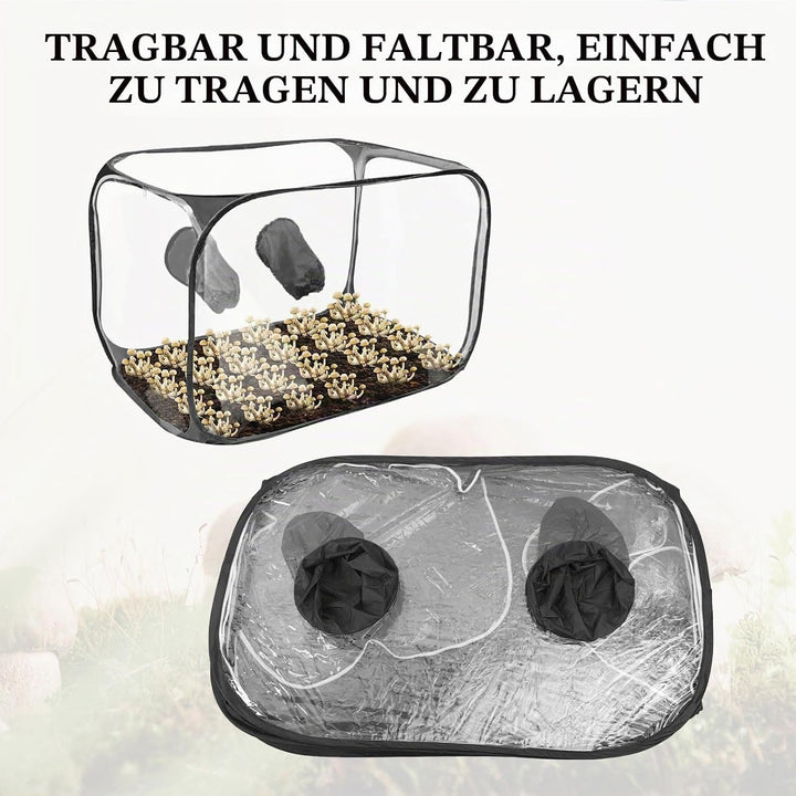 Pilzzuchtzelt, 90 * 60 * 60 cm Pilz Zucht Zelt Glovebox Pilzzucht Pilze Züchten Set Kompakte Pilzzuc