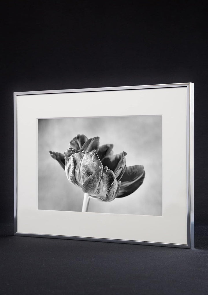 accent by nielsen Aluminium Bilderrahmen Accent, 50x60 cm, Schwarz Matt 50 x 60 cm Schwarz Matt, 50