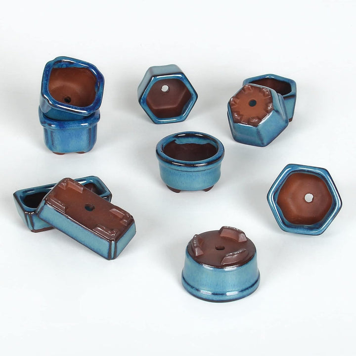 Happy Bonsai 4,5 cm, 10 Mini-glasierte Töpfe Blau, Blau