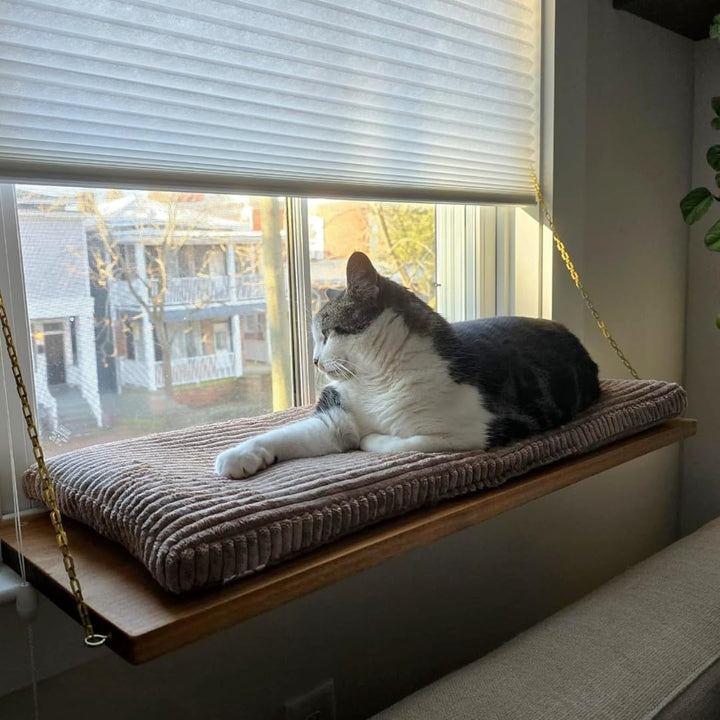 PRASKA® Katzen Fensterliege 140x28cm Weiches Katzenbett für die Fensterbank Dunkelgrau - Premium Fen