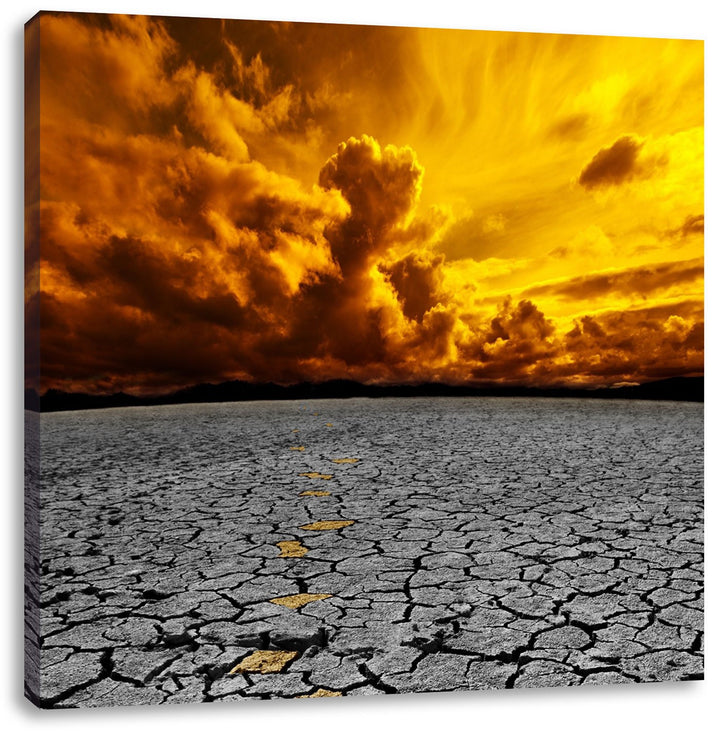 Pixxprint ausgetrocknete Landschaft schwarz/weiss, Format: 70x70 auf Leinwand, 70x70