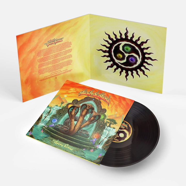Terra Firma [Vinyl LP], Vinyl