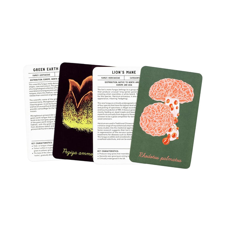 The Mushroom Compendium: Explore the Kingdom of Fungi, Karten