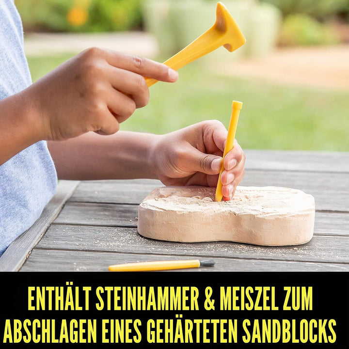 Learning Resources GeoSafari Fossilien-Ausgrabungsset