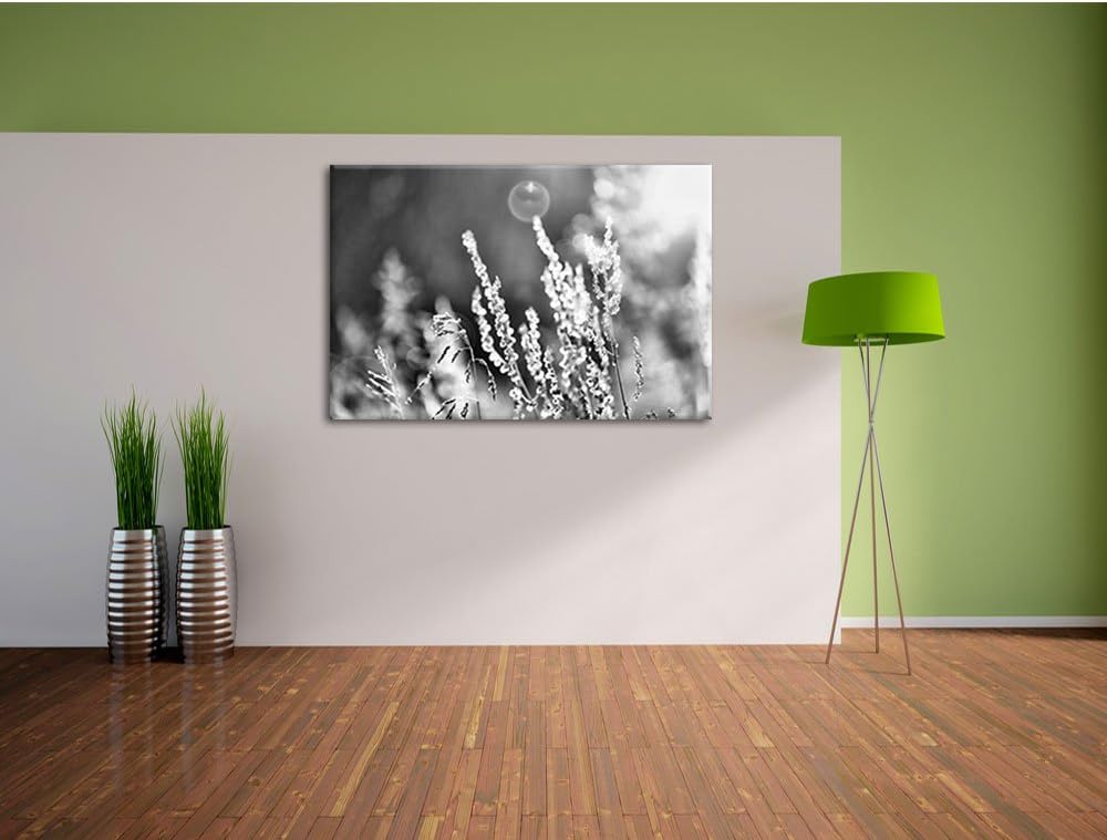 Pixxprint Gräser im Sonnenuntergang / 100x70cm Leinwandbild bespannt auf Holzrahmen/Wandbild Kunstdr