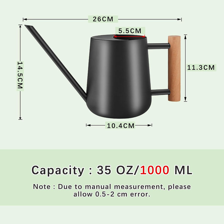 1L Giesskanne Zimmerpflanzen, (1000 ml) 35 Oz Metall Edelstahl Klein Giesskanne mit Langem Auslauf u