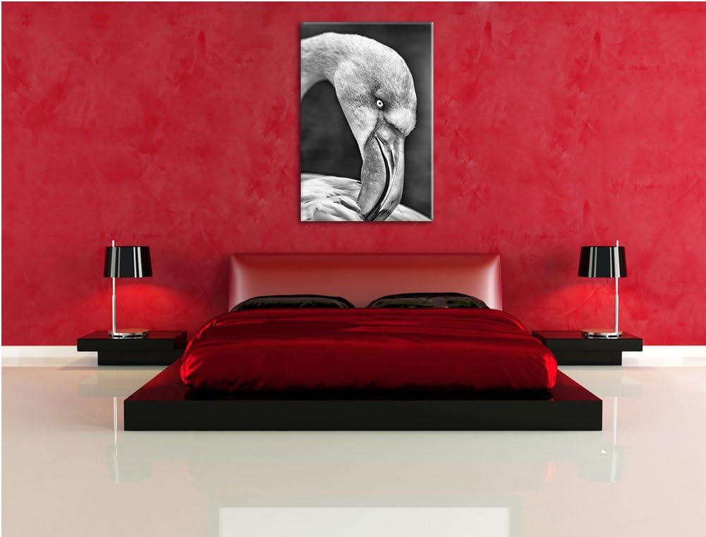 Pixxprint Flamingo beim Putzen als Leinwandbild/Grösse: 100x70 cm/Wandbild/Kunstdruck/fertig bespann