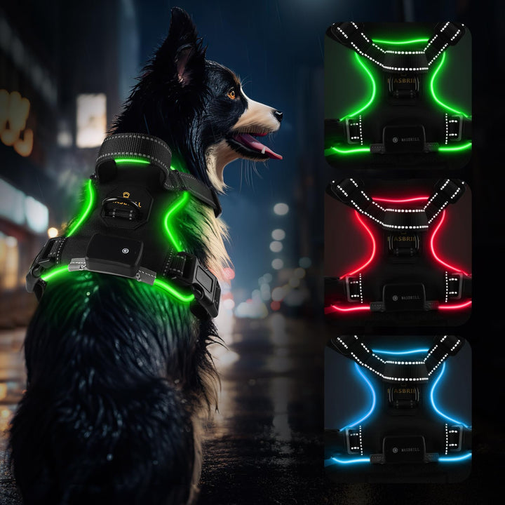 MASBRILL Hundegeschirr Leuchtend Aufladbar, LED Hundegeschirr Verstellbar Reflektierend mit Griff, W